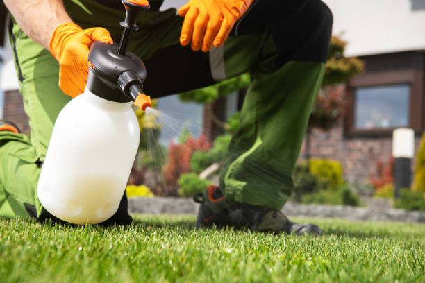 Best Residential Pest Control  in Hope Mills, NC